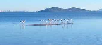 Beachfront House,sea Views Near Historic Cartagena