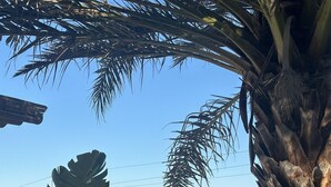 Apartment | Property grounds - 2 and 2 -bed Apartment in Javea (Javea)