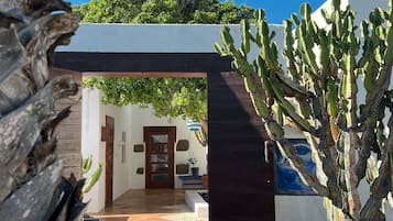 Studio | Exterior detail