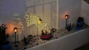 Een sfeervol buitengebied met beplanting en verlichting.