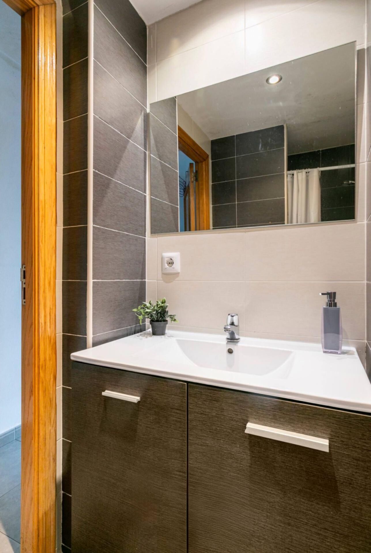 A bathroom with a double sink, a mirror, a potted plant, and a towel dispenser.
