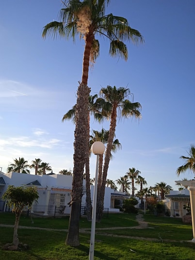 Noa - Cosy 2 Bedroom, in the Green Oasis