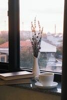 Standard Double or Twin Room, Non Smoking, City View | View from room