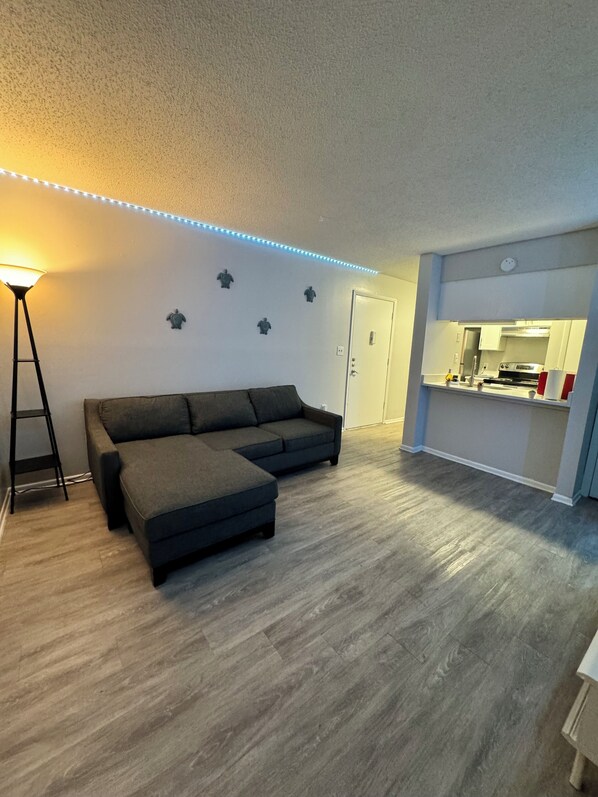 Living area - Cozy 1-bedroom apartment with WiFi, fitness room in brilliant Tampa (Tampa)