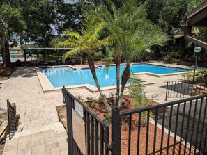 Pool - Cozy 1-bedroom apartment with WiFi, fitness room in brilliant Tampa (Tampa)