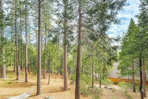 Interior - 6 Mi to Pinecrest Lake: Cozy Cabin in Cold Springs (Long Barn)