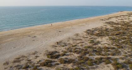 Czechin - Royal Breeze 2