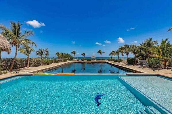 A clear blue pool with a dolphin figure, surrounded by palm trees and a view of the ocean.