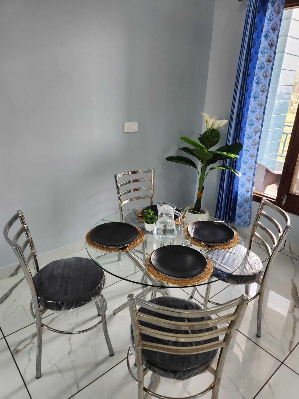 A dining area with a glass table surrounded by metal chairs, a potted plant, and a blue curtain.