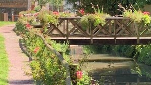 A garden pathway with a wooden bridge over a water channel, surrounded by lush greenery and flowering plants. - Gite LE Passiflore (Beuvron-en-Auge)