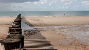 En strand med en träbrygga som leder ut i havet, en person som promenerar och en hund.