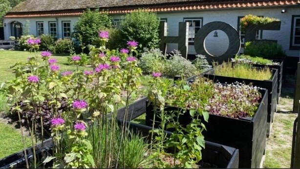 En byggnad med en stor skylt i form av bokstaven ”H”, omgiven av upphöjda rabatter med olika växter och blommor.