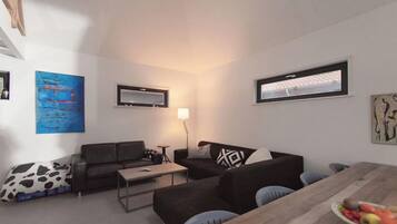 电视、DVD 播放器