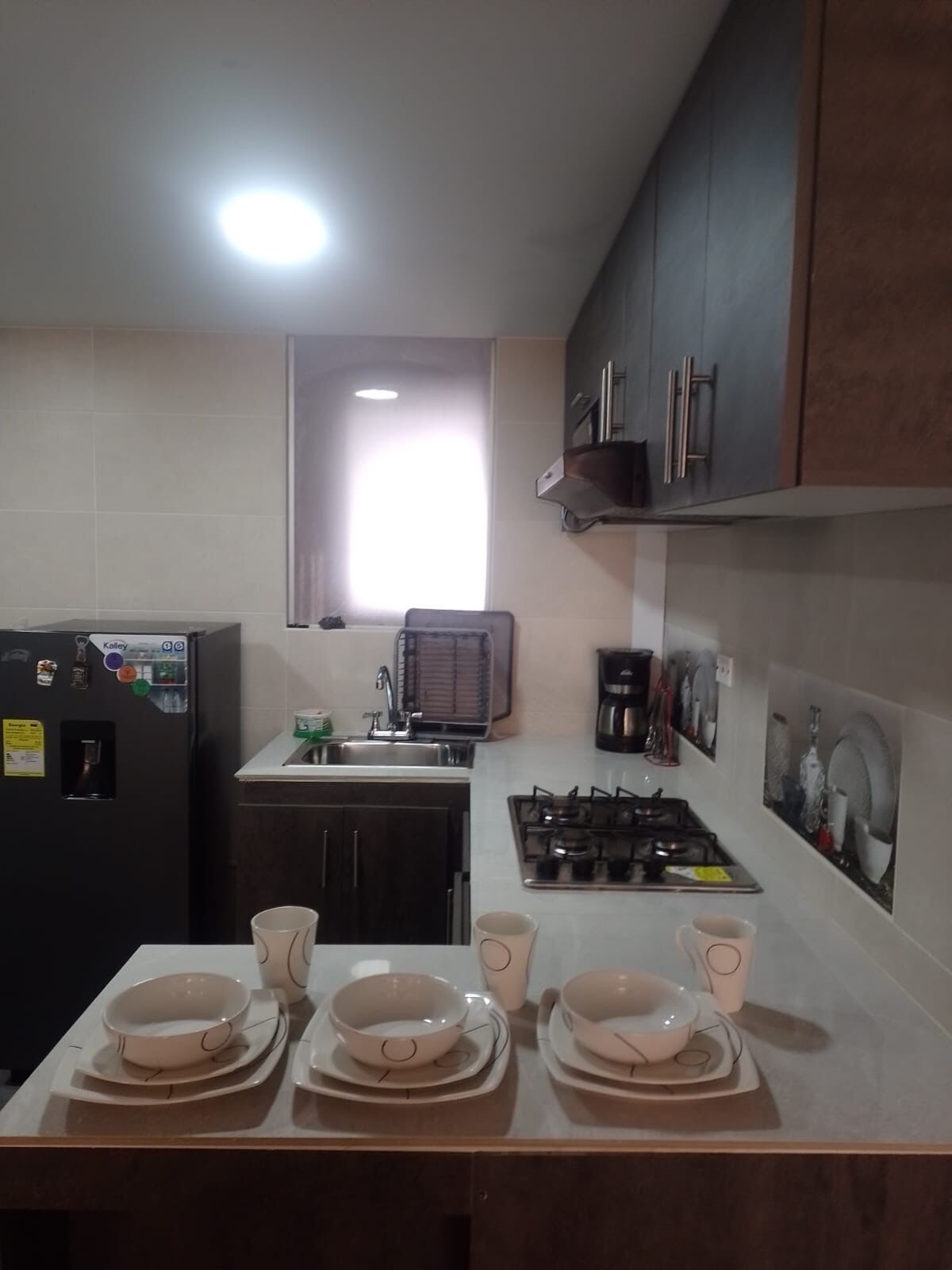 Geladeira, micro-ondas, fogão, lava-louças