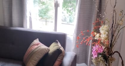 Studio Efficiency Apartment Minutes from downtown Pittsburgh with WiFi