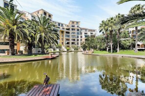 Stroll through a peaceful courtyard surrounded by lush greenery and palm trees, featuring a serene water feature and a wooden dock.
