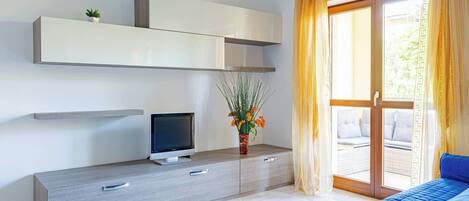 TV