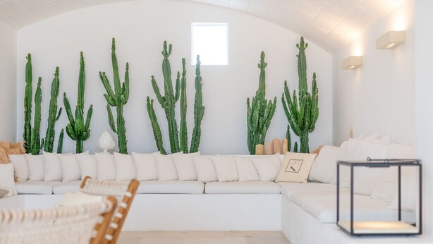 A modern living room with a white sofa, a wooden chair, and a large cactus wall art.