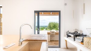 A modern kitchen with a large sink, a gas stove, and a view of greenery through a glass door.