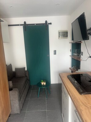 A compact living space with a sofa, a small round table with two potted plants, a kitchen area with a stove, and a television mounted on the wall.