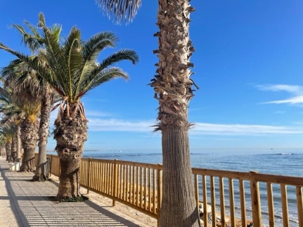 A coastal promenade with palm trees and a wooden railing.