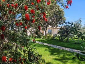 Àrea exterior de l'allotjament