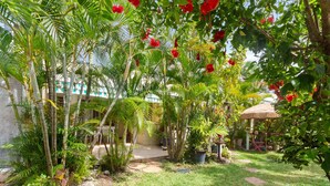 A lush garden with palm trees and red flowers, a thatched-roof structure, and a paved pathway.