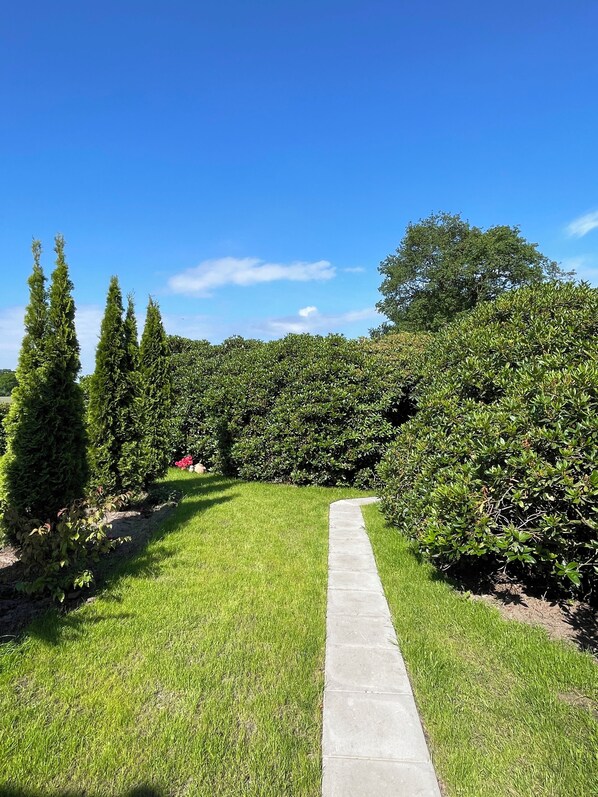 المنطقة المحيطة بالمنشأة