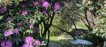 Country house Hassel