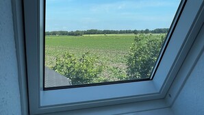 Ett takfönster med utsikt över en grön äng och en klarblå himmel.