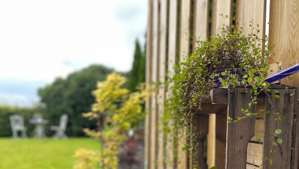 A wooden deck with a planter box containing a hydrangea and a small plant. - Country house Hassel 1  (Wiefelstede)