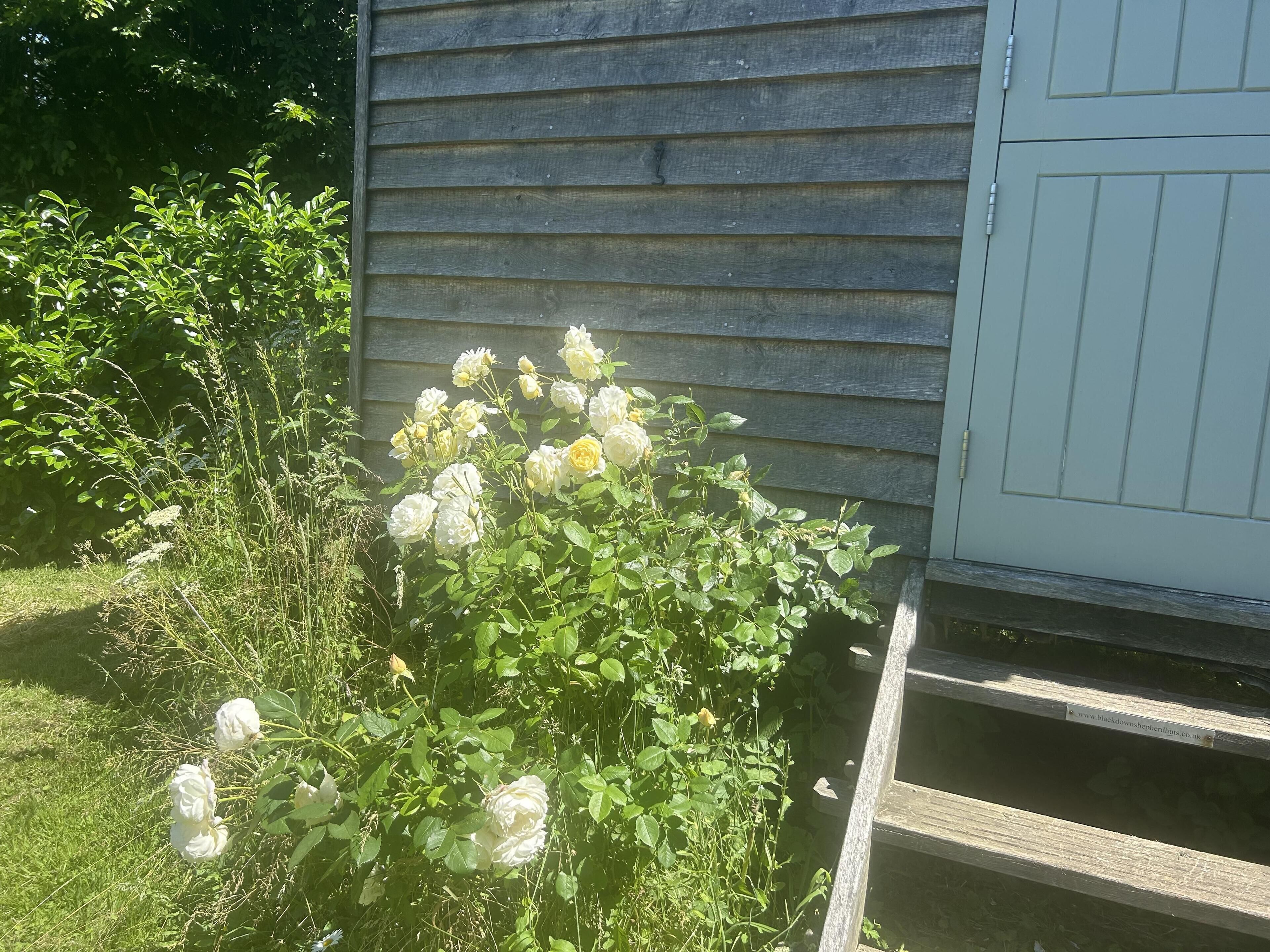 小屋 | 住宿场地