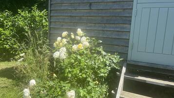 Cabin | Property grounds