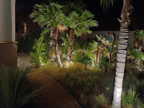 A nighttime garden with palm trees and other tropical plants, illuminated by soft lighting. - Villa Idéalement Située à Moins de 300 m de la Plage (La Croix-Valmer)