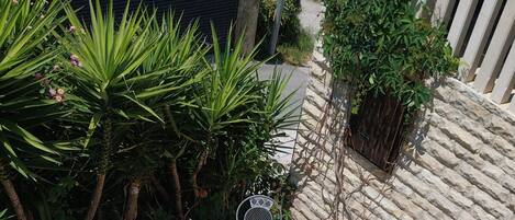 Villa (Villa Marija - Five Bedroom Villa wit) | Garden