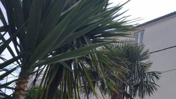 Villa (Villa Marija - Five Bedroom Villa wit) | Garden