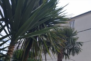 Villa (Villa Marija - Five Bedroom Villa wit) | Garden - Villa Marija (Podstrana)