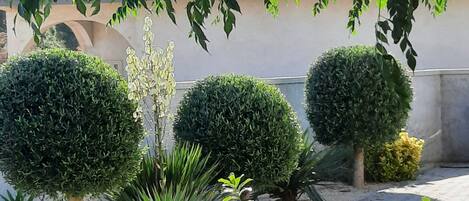 Apartment (Apartment Stella Casa Bruno - Two Bed) | Exterior