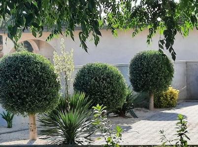 Apartment Stella Casa Bruno