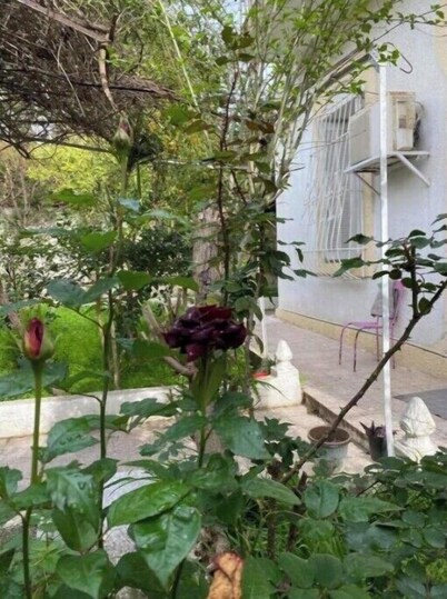 Maison Jardinée