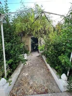 Property grounds - Maison Jardinée (Annaba)