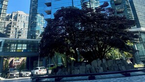 Exterior - Spacious 3-bedroom apartment with AC, WiFi in welcoming Vancouver (Vancouver)
