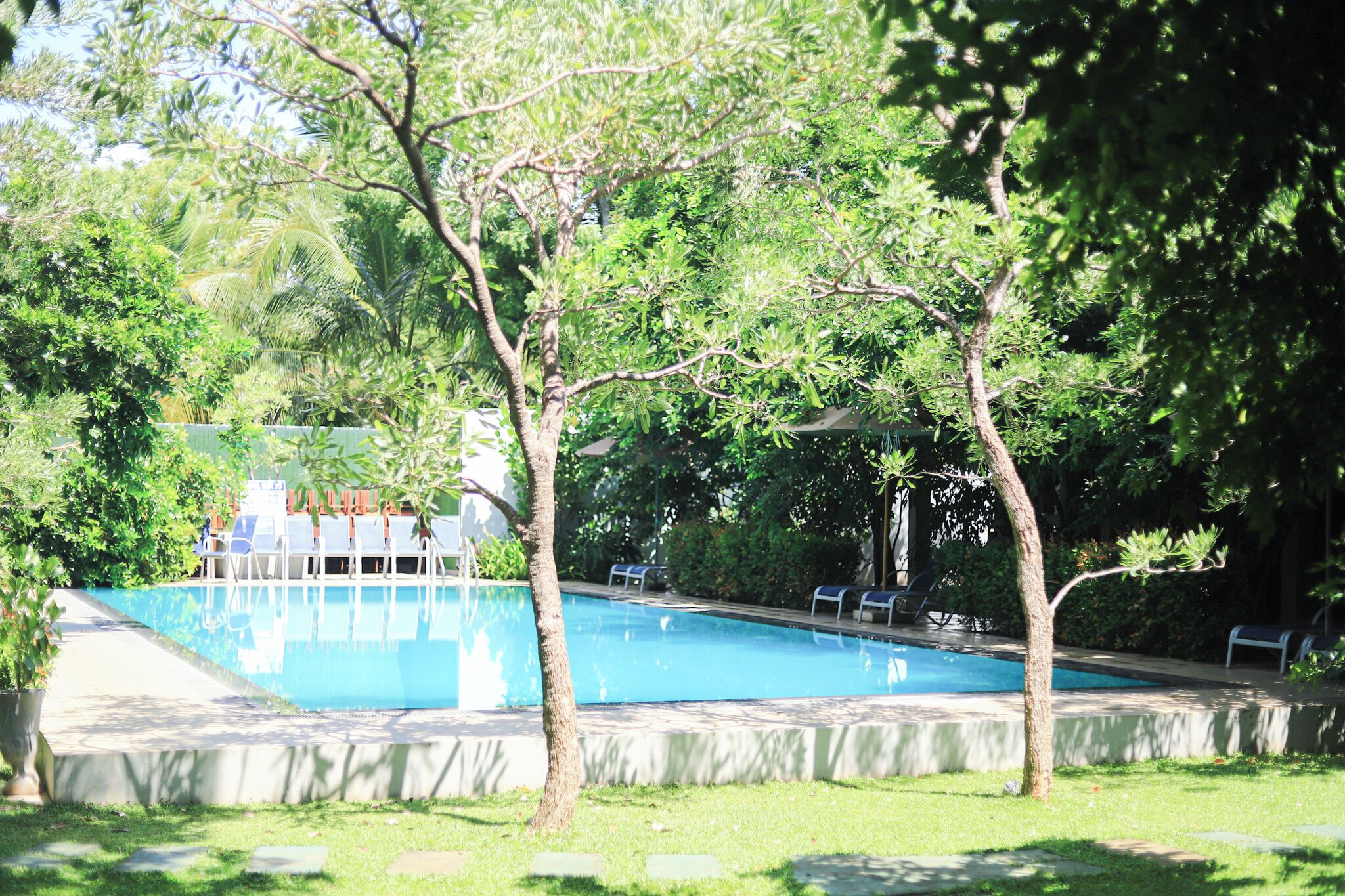 A swimming pool surrounded by trees and a building with a covered area.
