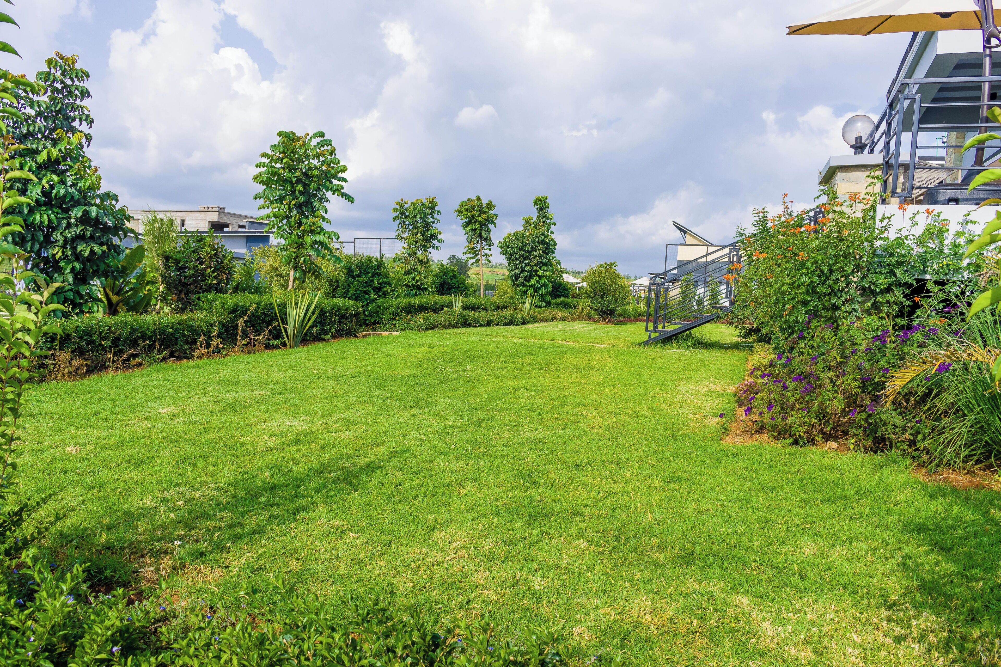 A well-maintained grassy lawn with a pathway leading to a building, surrounded by lush greenery and a clear sky.