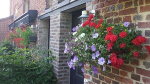 Un bâtiment en briques, orné de jardinières suspendues contenant des fleurs rouges, violettes et blanches.