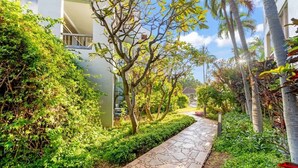 A pathway lined with greenery and palm trees, leading to a building with a balcony. - Oceanfront spacious 2 bedroom condo, updated, private beach, walkable area (Napili-Honokowai)
