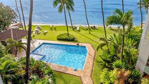 A swimming pool surrounded by tropical plants, a beach view, and a clear sky. - Oceanfront spacious 2 bedroom condo, updated, private beach, walkable area (Napili-Honokowai)