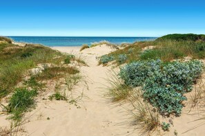 Una playa cerca