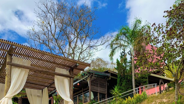 Un área de piscina con una pérgola y sillones de descanso.