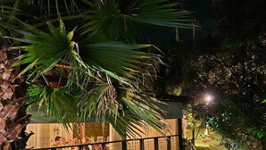 Una vista nocturna de un edificio con fachada de vidrio, rodeado de exuberante vegetación y palmeras.